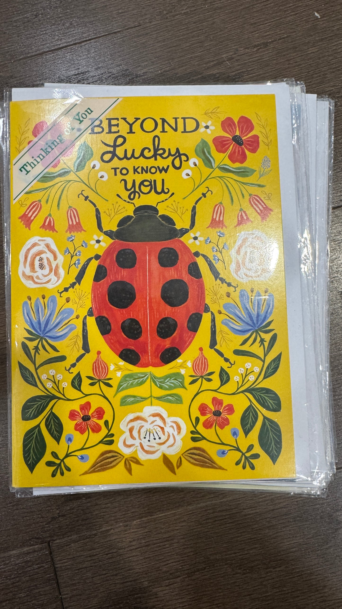 Trader Joe's Greeting Cards (Various)