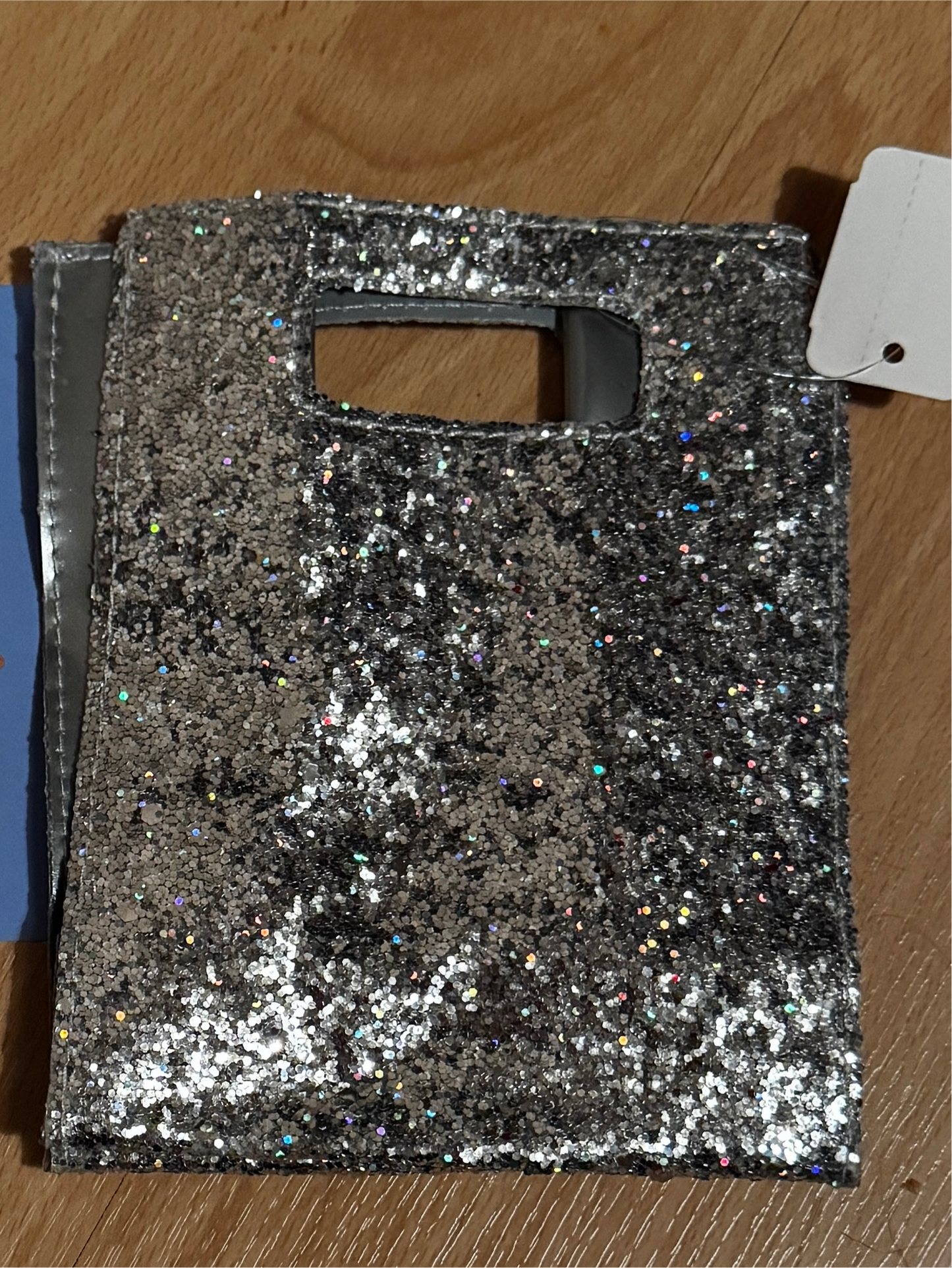 Bath & Body Works Iridescent Glitter Reusable Gift bag